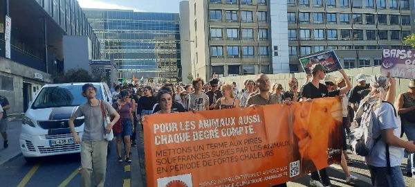 Mobilisation à Nancy