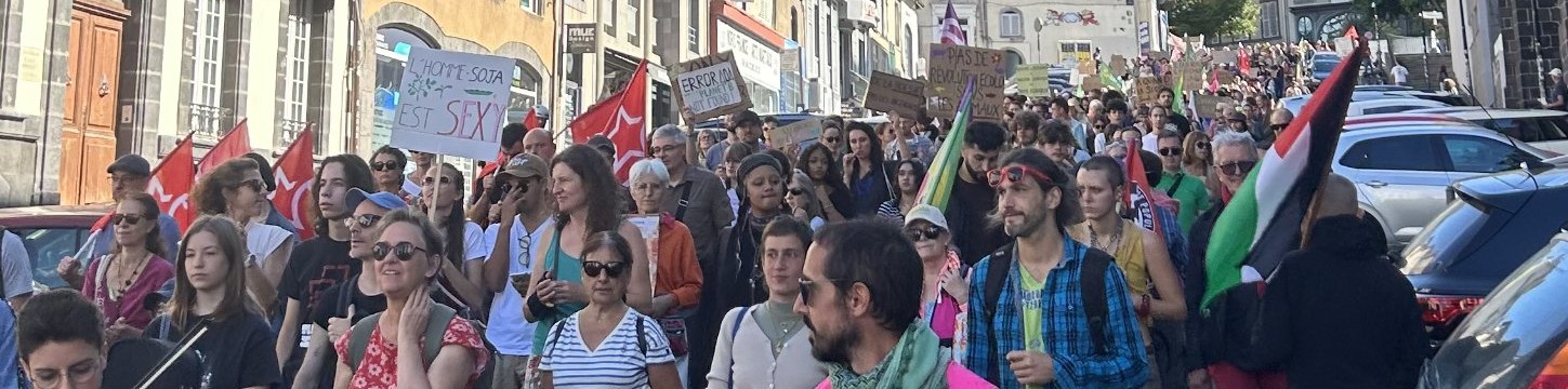 Le cortège de la marche du 26 septembre dans une rue de Clermont-Ferrand, pancartes et drapeaux levés.